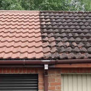 Roof-Cleaning-Services-03