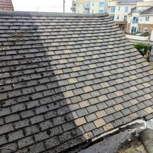 Roof-Cleaning.jpeg