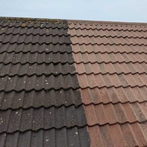 roof-cleaning-dorset